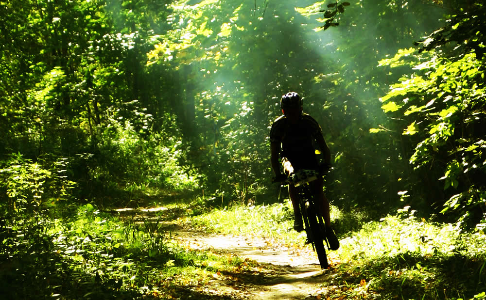 PASA Mountain Biking