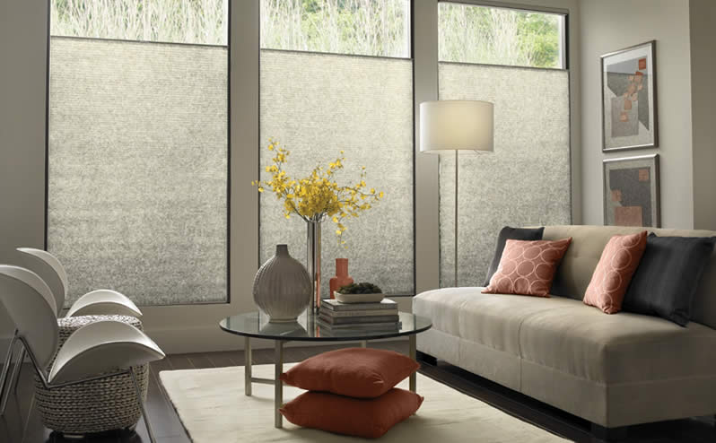 Winter Window Treatments