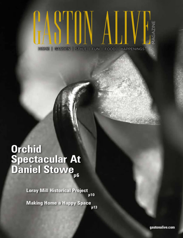 Gaston Alive – February 2016