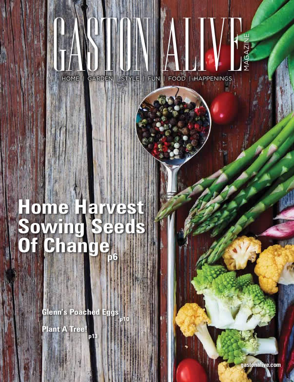 Gaston Alive – March 2016