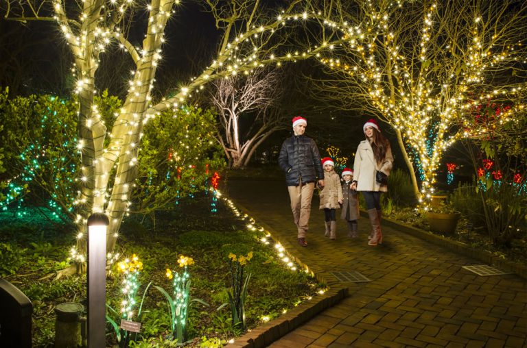 Garden Gearing Up For Holiday Display!