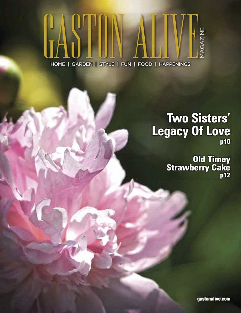 Gaston Alive May 2017