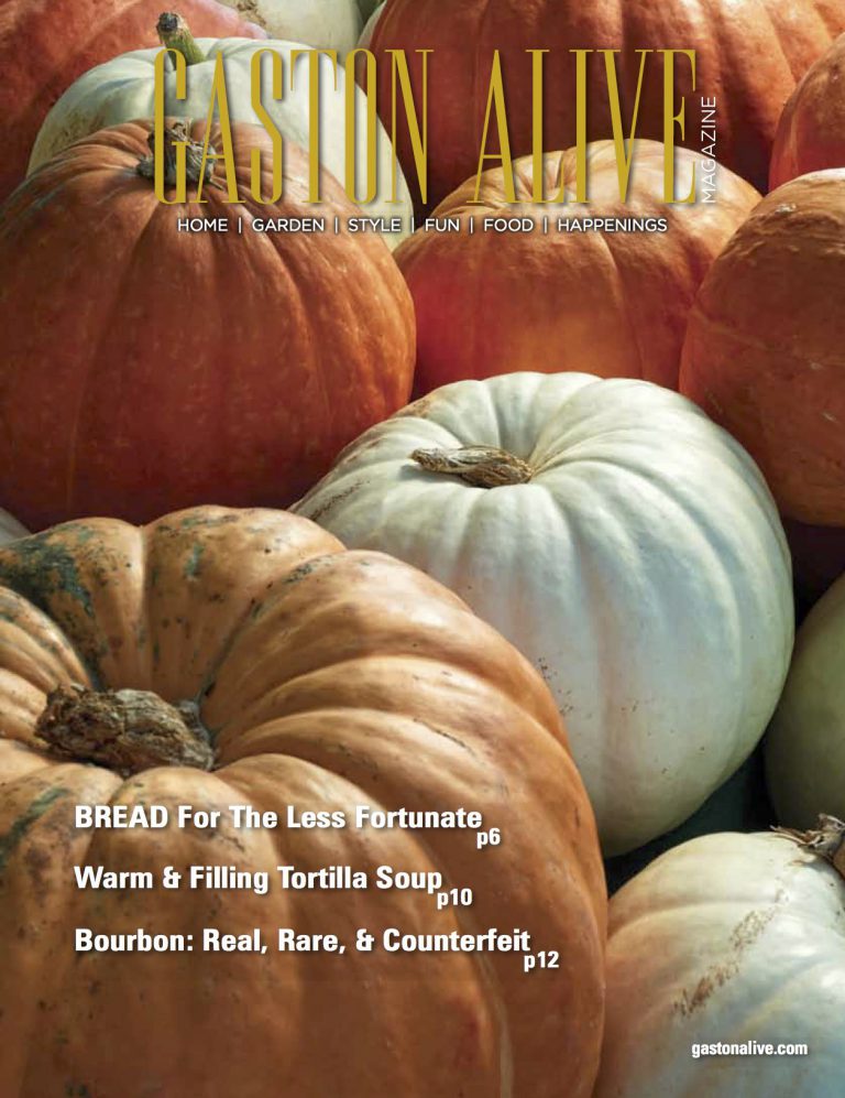 Gaston Alive – October 2017