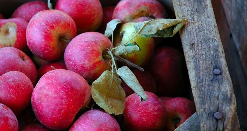 2433-960x960 (1) edit