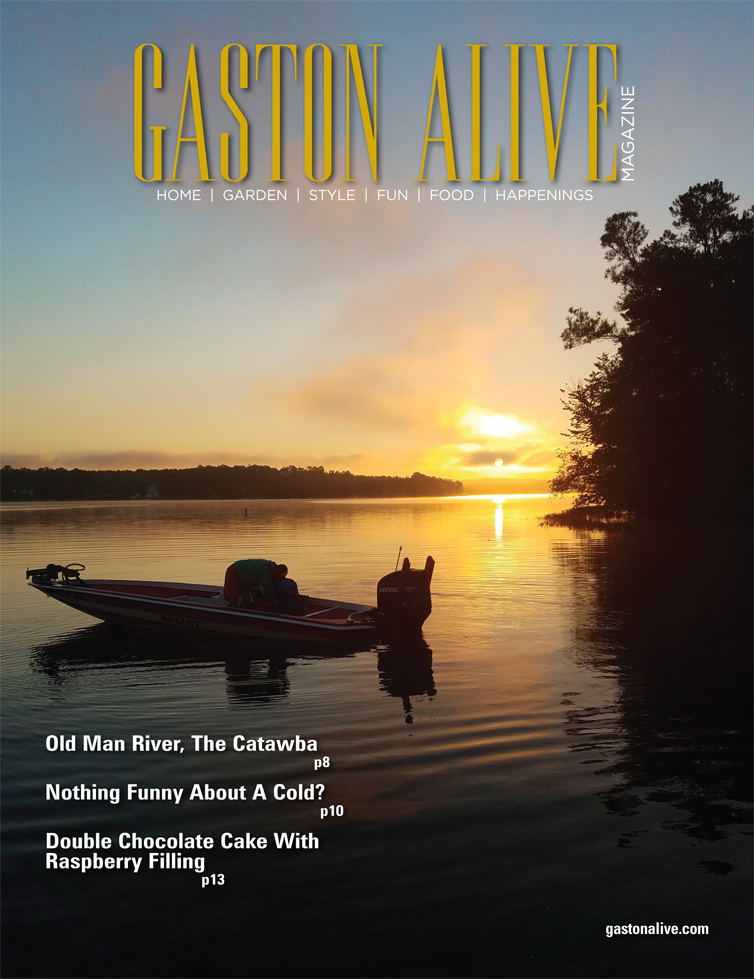 Gaston Alive- February 2019