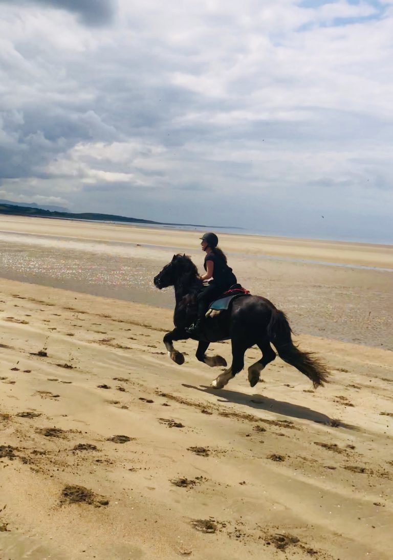 Ireland On Horseback