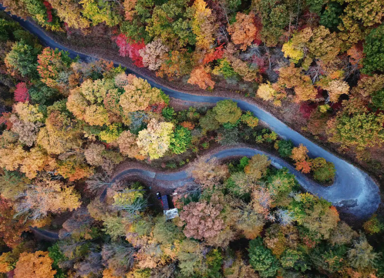 7 Cool Airbnbs in the N.C mountains