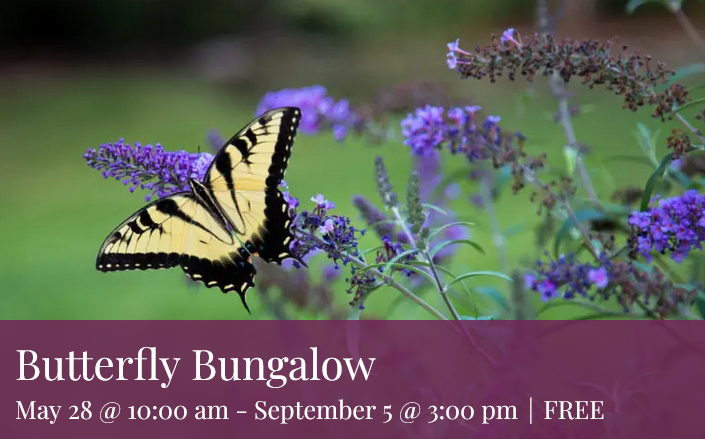 Daniel Stowe Botanical Garden Butterly Bungalow