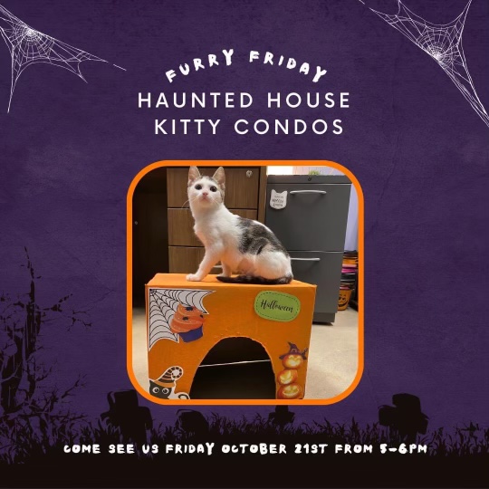 Gaston County Animal Care & Enforcement