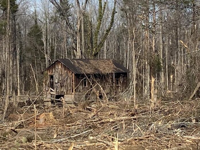 1FB71A7B-61E8-4007-87EE-CEA576BDD3C7