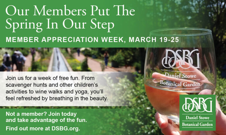 Spring Has Sprung! Fun Spring Activities at the Daniel Stowe Botanical Gardens