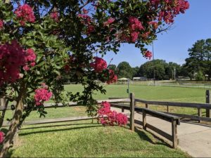 Lowell gets $500k grant for park