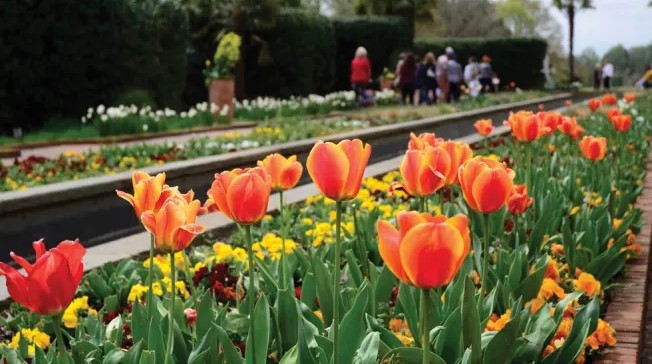 Daniel Stowe named on of the best Botanical Gardens in the U.S. by VOGUE magazine!